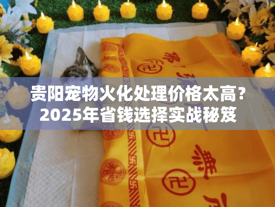贵阳宠物火化处理价格太高？2025年省钱选择实战秘笈