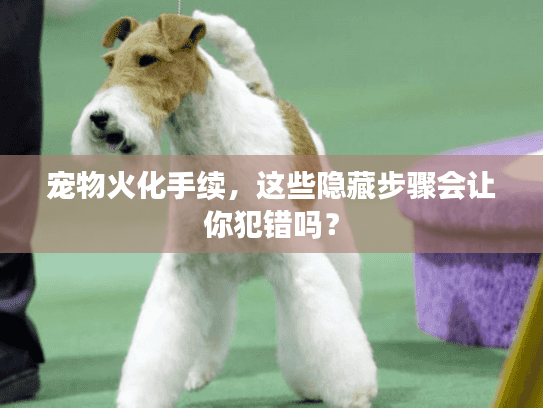 宠物火化手续,这些隐藏步骤会让你犯错吗? 宠物火化手续,这些隐藏步骤会让你犯错吗?