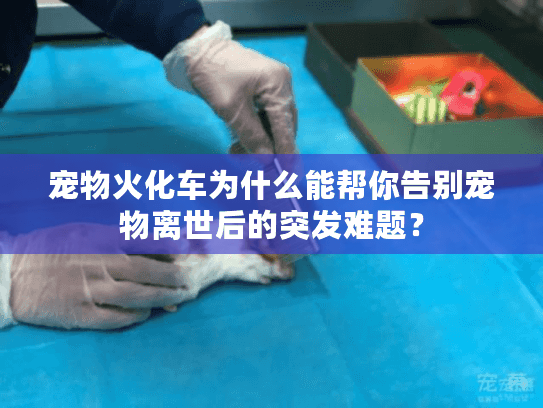 宠物火化车为什么能帮你告别宠物离世后的突发难题？