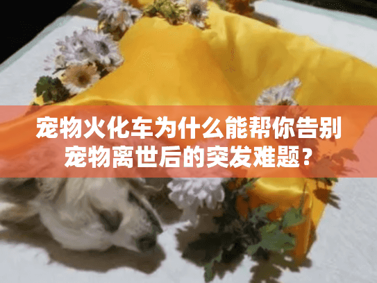 宠物火化车为什么能帮你告别宠物离世后的突发难题？