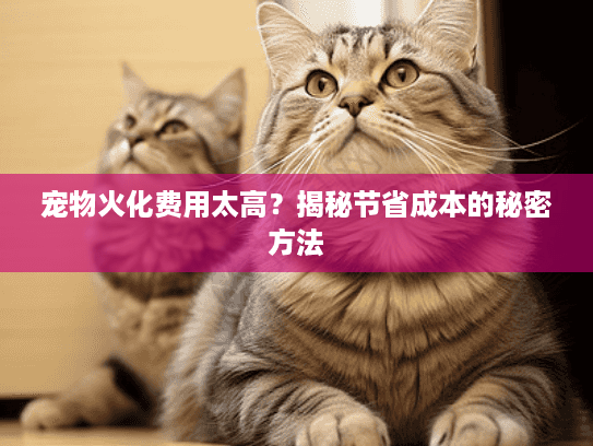 宠物火化费用太高?揭秘节省成本的秘密方法 宠物火化费用太高?揭秘节省成本的秘密方法