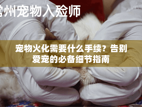 宠物火化需要什么手续？告别爱宠的必备细节指南