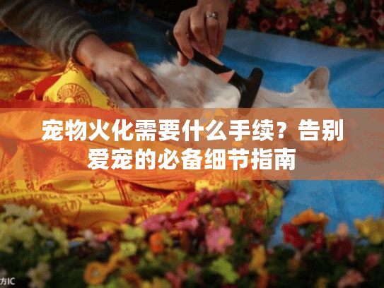宠物火化需要什么手续？告别爱宠的必备细节指南