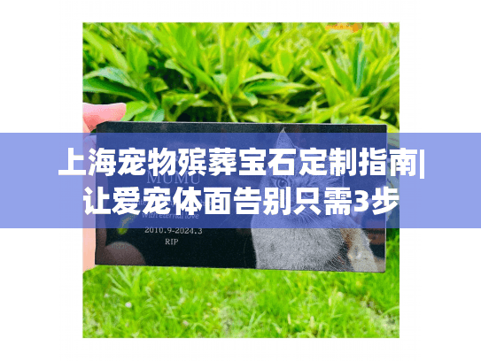 上海宠物殡葬宝石定制指南|让爱宠体面告别只需3步