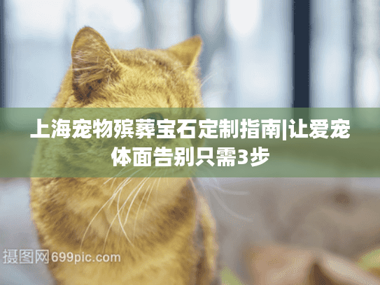 上海宠物殡葬宝石定制指南|让爱宠体面告别只需3步