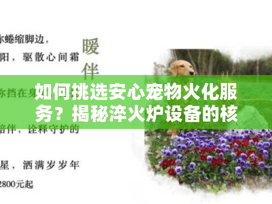 如何挑选安心宠物火化服务?揭秘淬火炉设备的核心避坑法 如何挑选安心宠物火化服务?揭秘淬火炉设备的核心避坑法