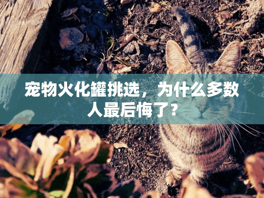宠物火化罐挑选,为什么多数人最后悔了? 宠物火化罐挑选,为什么多数人最后悔了?