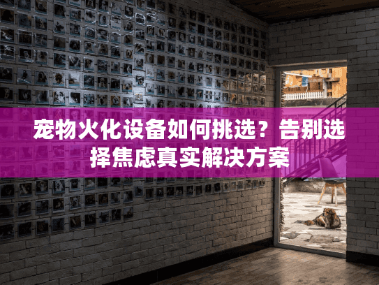 宠物火化设备如何挑选？告别选择焦虑真实解决方案