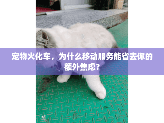 宠物火化车,为什么移动服务能省去你的额外焦虑? 宠物火化车,为什么移动服务能省去你的额外焦虑?