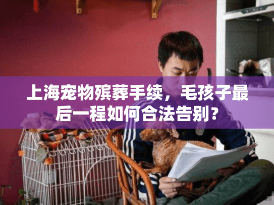 上海宠物殡葬手续，毛孩子最后一程如何合法告别？