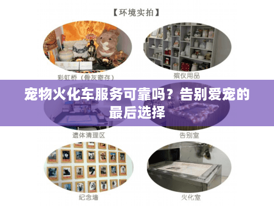 宠物火化车服务可靠吗？告别爱宠的最后选择