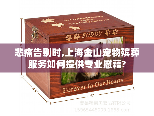 悲痛告别时,上海金山宠物殡葬服务如何提供专业慰藉?