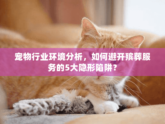 宠物行业环境分析，如何避开殡葬服务的5大隐形陷阱？