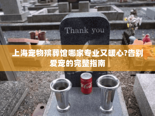 上海宠物殡葬馆哪家专业又暖心?告别爱宠的完整指南