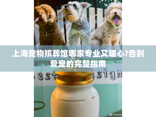 上海宠物殡葬馆哪家专业又暖心?告别爱宠的完整指南
