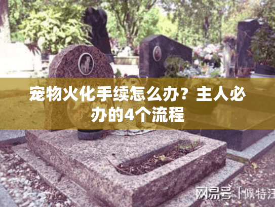 宠物火化手续怎么办？主人必办的4个流程
