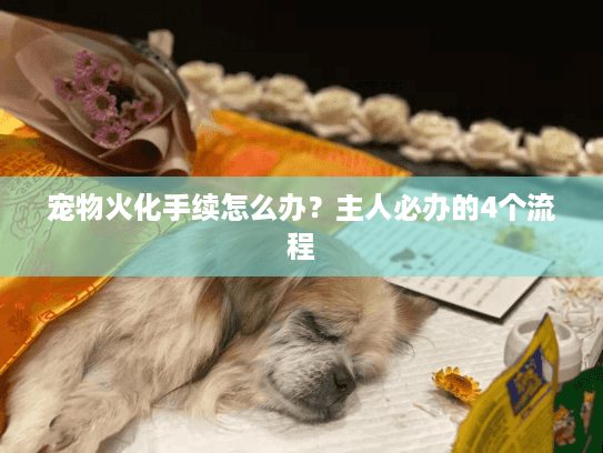 宠物火化手续怎么办？主人必办的4个流程