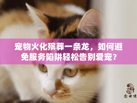 宠物火化殡葬一条龙，如何避免服务陷阱轻松告别爱宠？