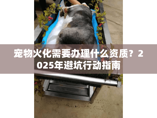 宠物火化需要办理什么资质？2025年避坑行动指南