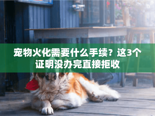 宠物火化需要什么手续?这3个证明没办完直接拒收 宠物火化需要什么手续?这3个证明没办完直接拒收