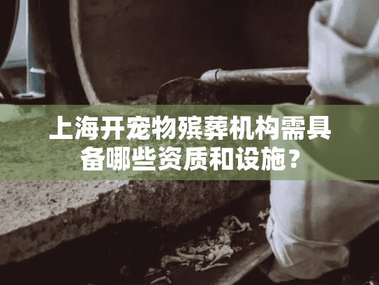 上海开宠物殡葬机构需具备哪些资质和设施？