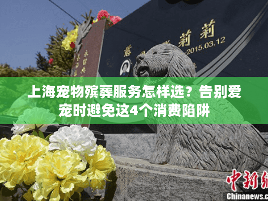 上海宠物殡葬服务怎样选？告别爱宠时避免这4个消费陷阱