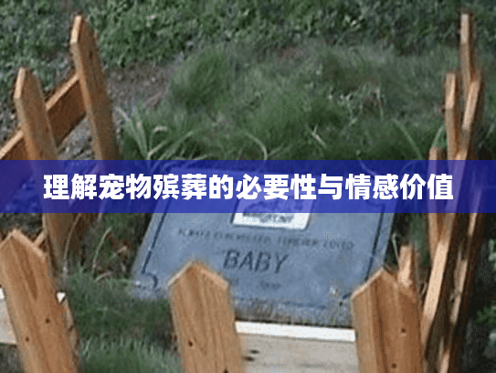 理解宠物殡葬的必要性与情感价值