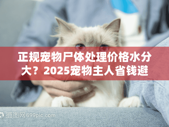 正规宠物尸体处理价格水分大？2025宠物主人省钱避坑手册