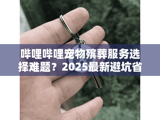 哔哩哔哩宠物殡葬服务选择难题？2025最新避坑省钱全攻略