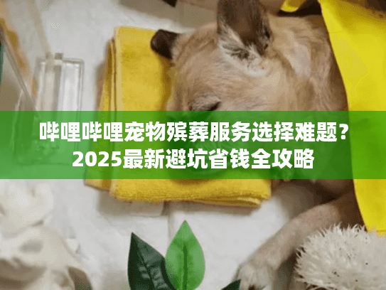 哔哩哔哩宠物殡葬服务选择难题？2025最新避坑省钱全攻略