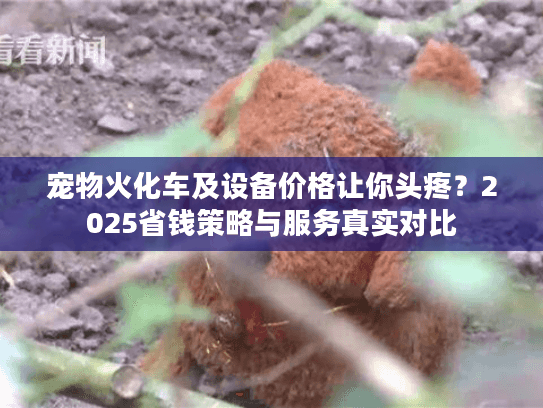 宠物火化车及设备价格让你头疼？2025省钱策略与服务真实对比