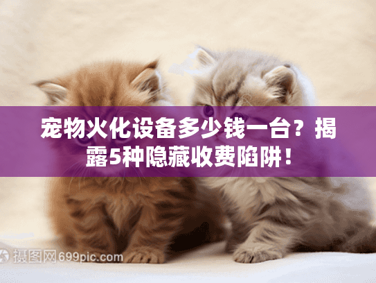 宠物火化设备多少钱一台?揭露5种隐藏收费陷阱! 宠物火化设备多少钱一台?揭露5种隐藏收费陷阱!