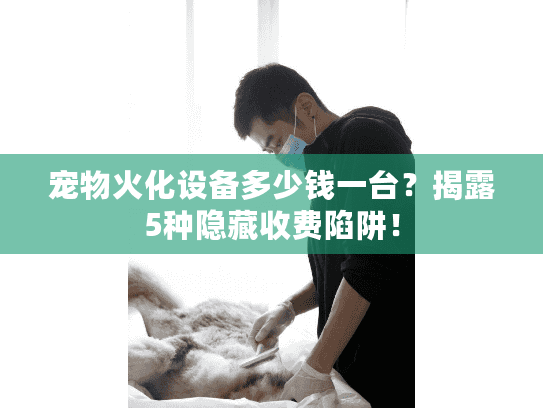 宠物火化设备多少钱一台?揭露5种隐藏收费陷阱! 宠物火化设备多少钱一台?揭露5种隐藏收费陷阱!
