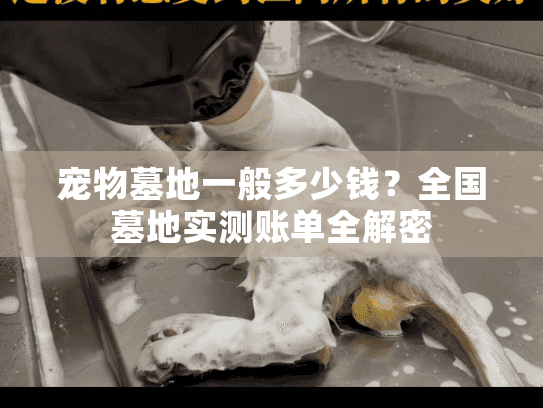 宠物墓地一般多少钱？全国墓地实测账单全解密