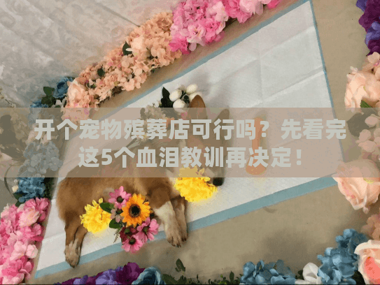 开个宠物殡葬店可行吗?先看完这5个血泪教训再决定! 开个宠物殡葬店可行吗?先看完这5个血泪教训再决定!