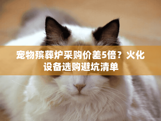 宠物殡葬炉采购价差5倍？火化设备选购避坑清单