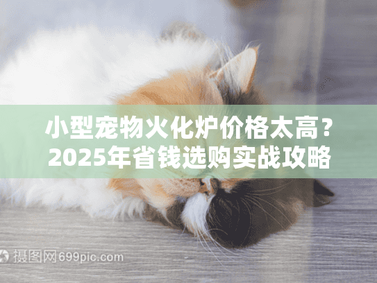 小型宠物火化炉价格太高？2025年省钱选购实战攻略