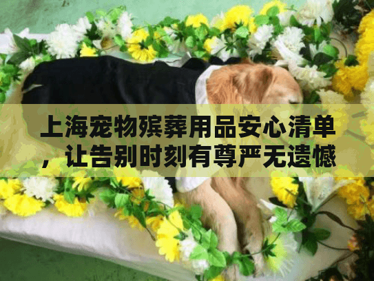 上海宠物殡葬用品安心清单，让告别时刻有尊严无遗憾