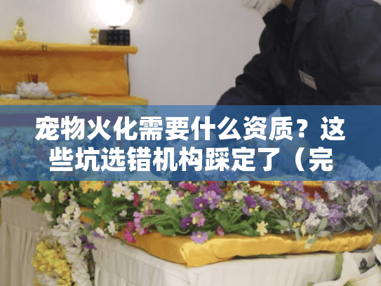 宠物火化需要什么资质？这些坑选错机构踩定了（完整清单）