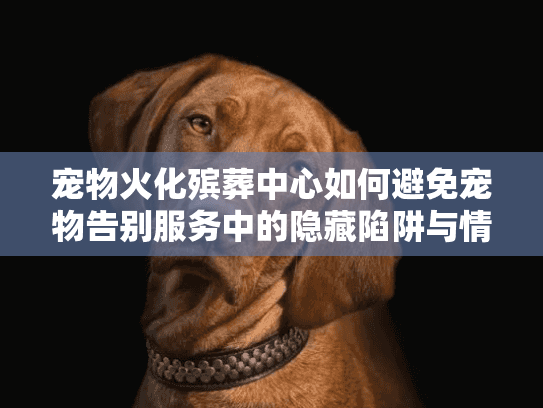 宠物火化殡葬中心如何避免宠物告别服务中的隐藏陷阱与情感伤害？