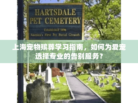 上海宠物殡葬学习指南，如何为爱宠选择专业的告别服务？