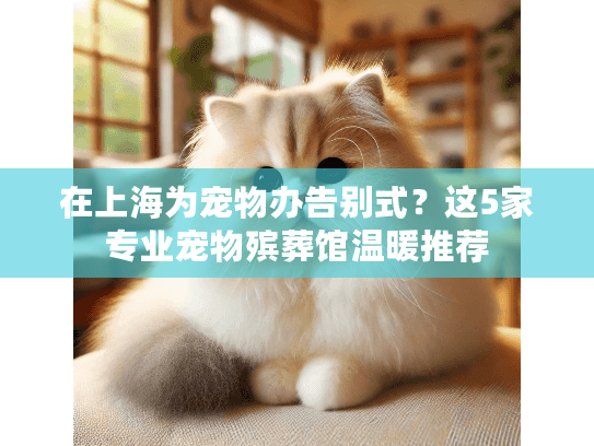在上海为宠物办告别式？这5家专业宠物殡葬馆温暖推荐