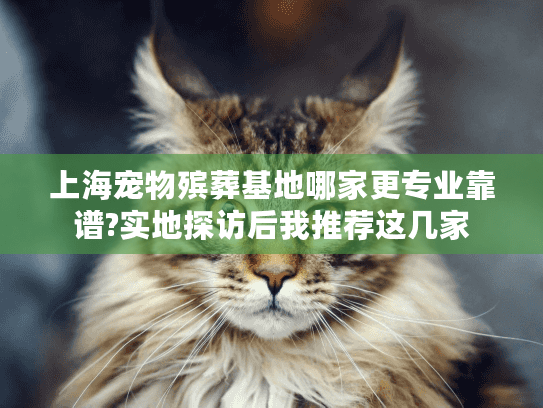 上海宠物殡葬基地哪家更专业靠谱?实地探访后我推荐这几家