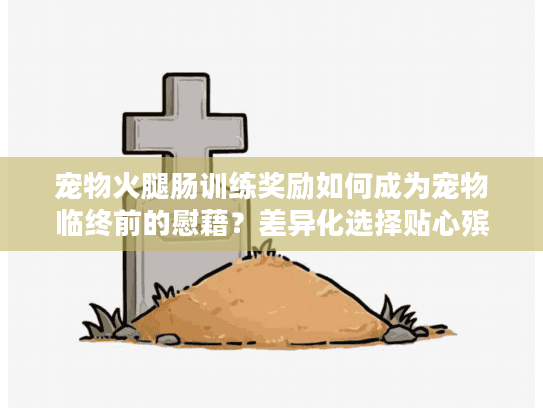 宠物火腿肠训练奖励如何成为宠物临终前的慰藉？差异化选择贴心殡葬服务终极解析