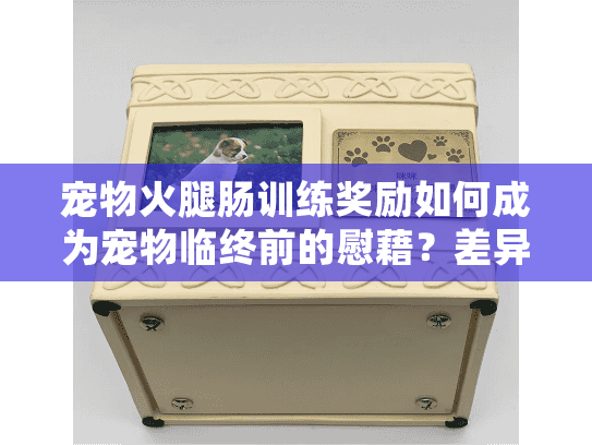 宠物火腿肠训练奖励如何成为宠物临终前的慰藉？差异化选择贴心殡葬服务终极解析