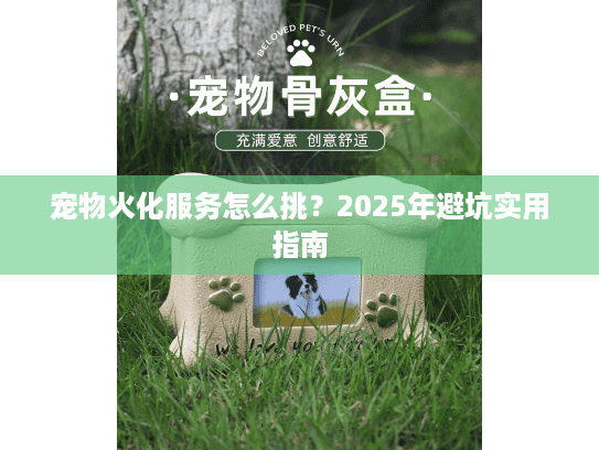 宠物火化服务怎么挑？2025年避坑实用指南