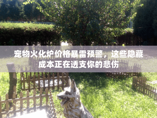 宠物火化炉价格暴雷预警，这些隐藏成本正在透支你的悲伤