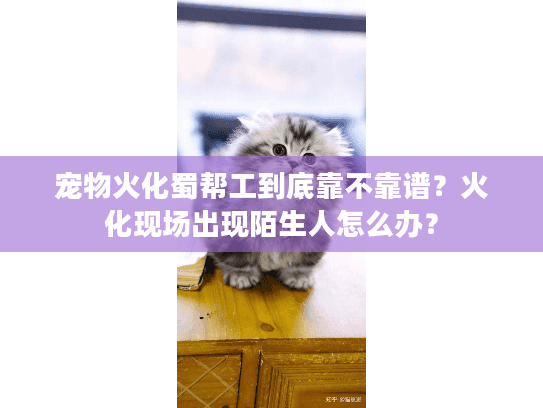 宠物火化蜀帮工到底靠不靠谱？火化现场出现陌生人怎么办？