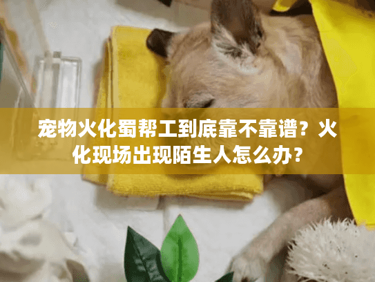 宠物火化蜀帮工到底靠不靠谱？火化现场出现陌生人怎么办？