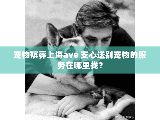 宠物殡葬上海ave 安心送别宠物的服务在哪里找？